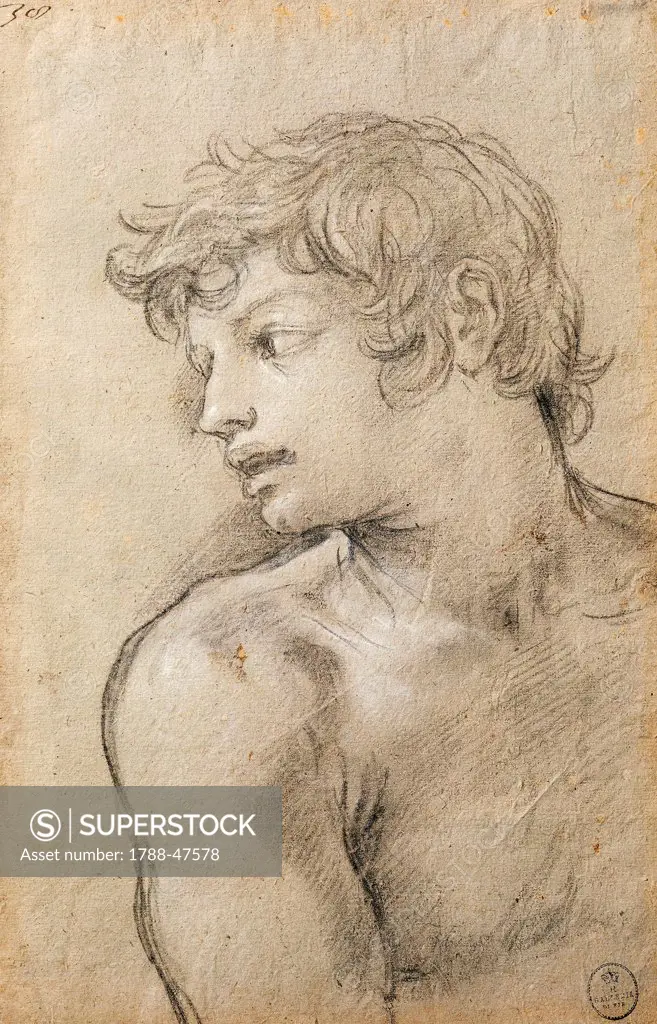 Figure of a Young Man. Study for the Golden Age, by Pietro da Cortona (1596-1669), drawing.