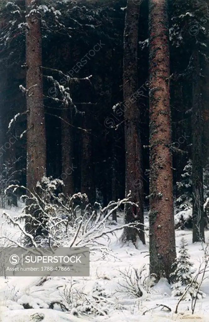 Spruce forest in winter, 1884, by Ivan Shishkin (1832-1898).
