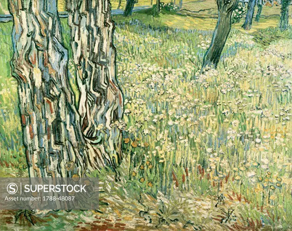 Tree trunks in the grass, 1890, by Vincent van Gogh (1853-1890).