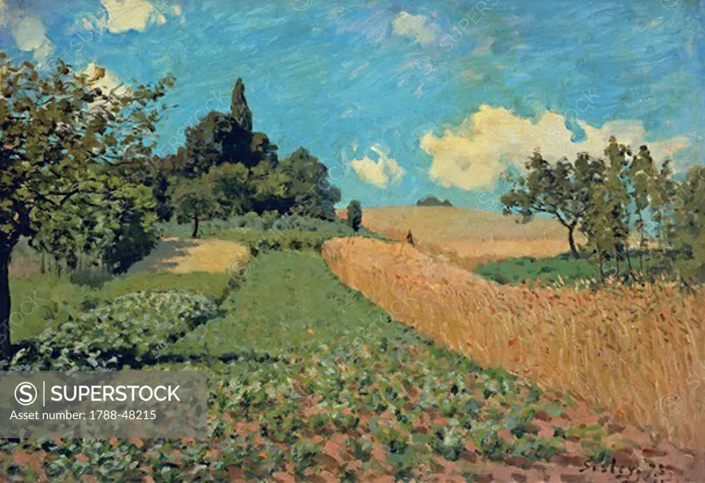 Grain fields on the hills of Argenteuil, 1873, by Alfred Sisley (1839-1899).