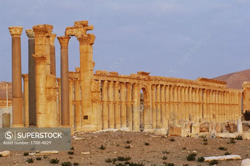 Syria - Palmyra. Ancient Palmyra. UNESCO World Heritage List, 1980. Grand Colonnade, AD 1st-2nd century