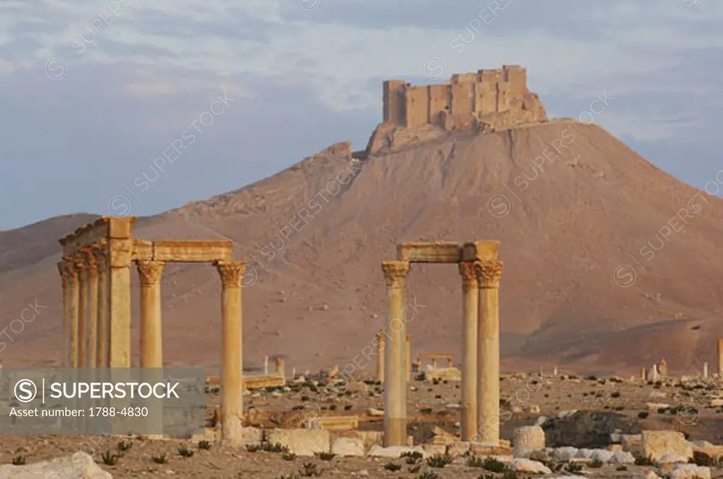 Syria - Palmyra. Ancient Palmyra. UNESCO World Heritage List, 1980. Ruined city, AD 1st-2nd century and Arab fortification Qal'at ibn Ma'an, 16th-17th century