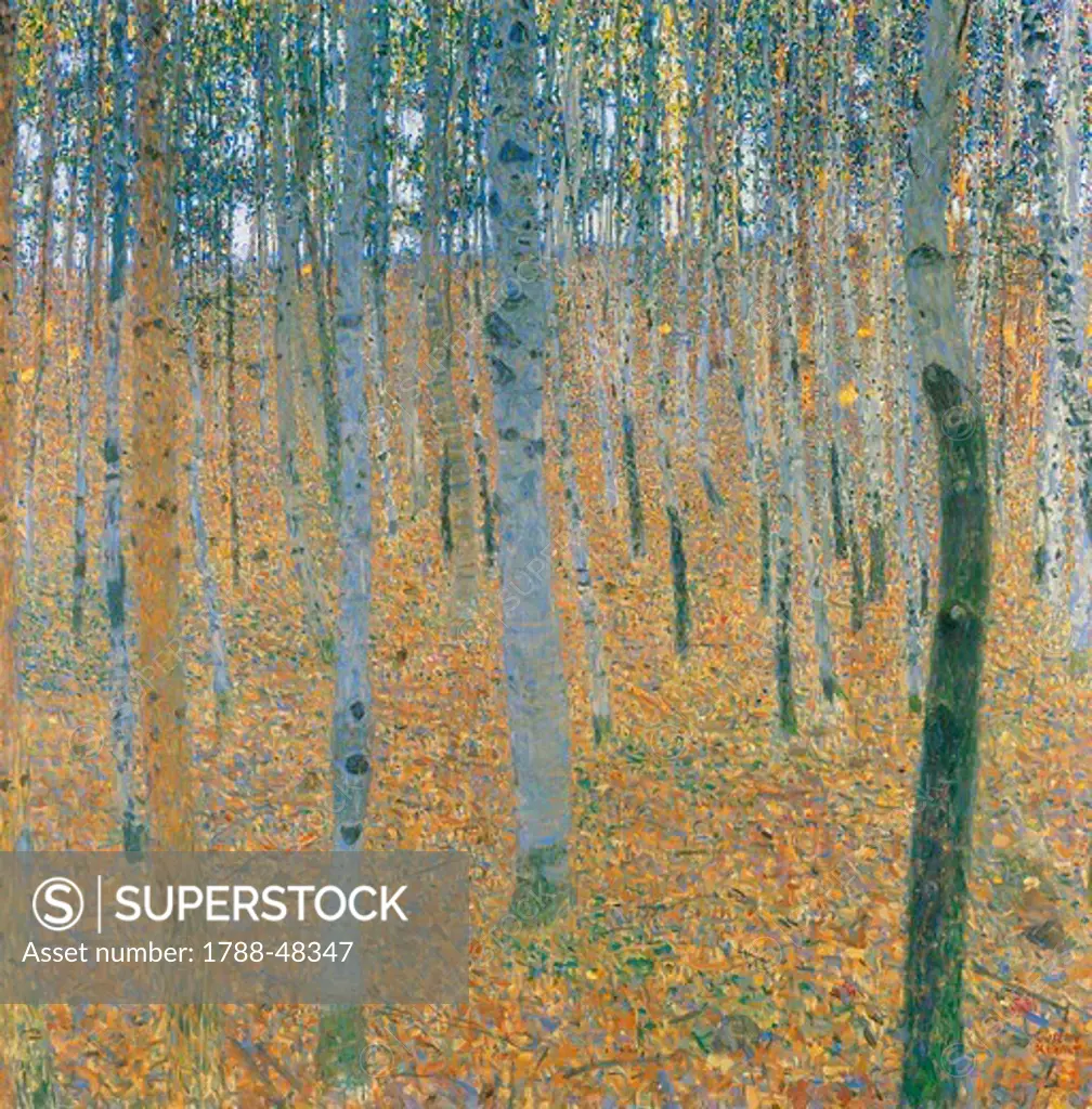 Beechwood forest (Buchenwald), 1903, by Gustav Klimt (1862-1918), 100x100 cm.