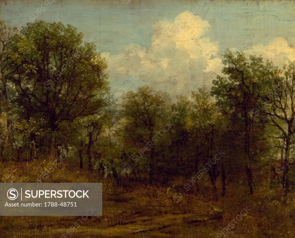A wood, by John Constable (1776-1837).