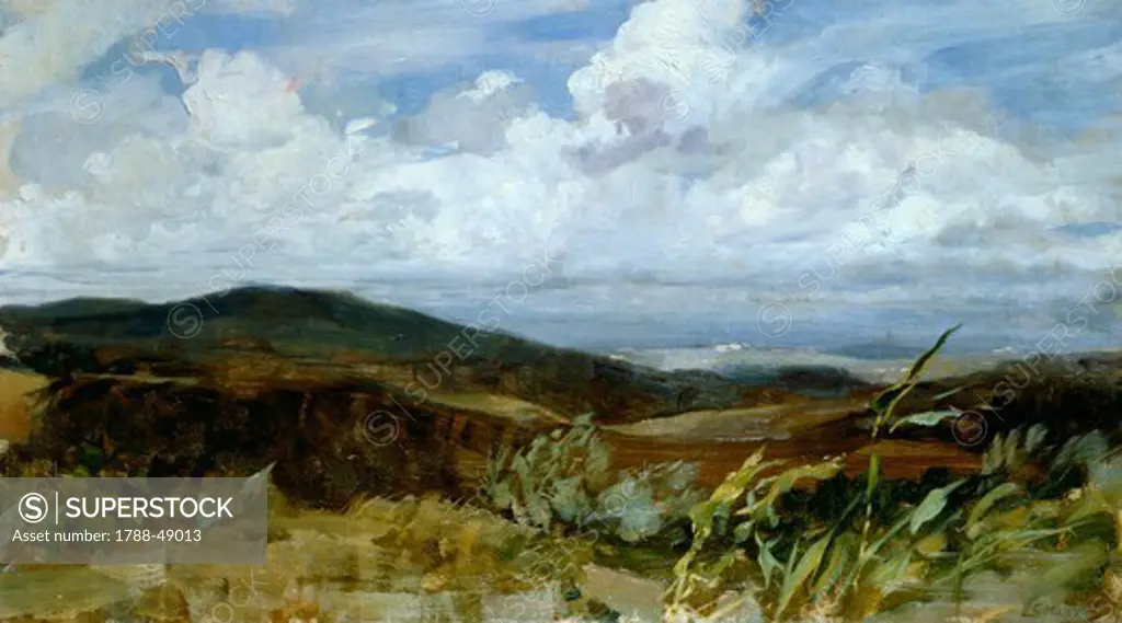 Landscape, 1885-1888, by Giovanni Muzzioli (1854-1894), oil on canvas, 39x68 cm.