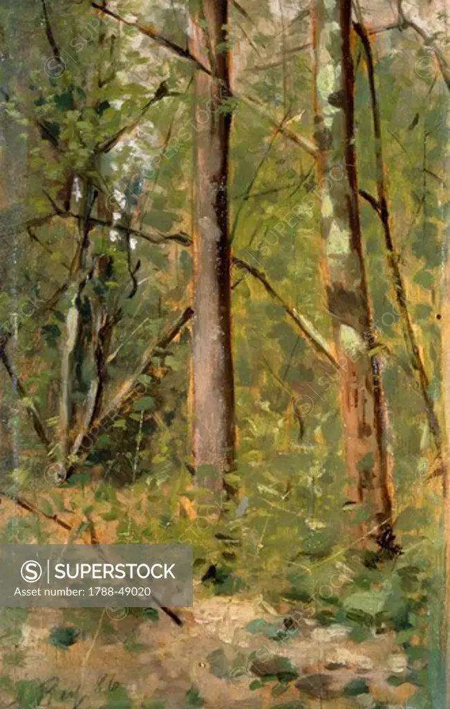 Wood in Crespina, 1886, by Augusto Rey (1837-1898), oil on panel, 23x14 cm.