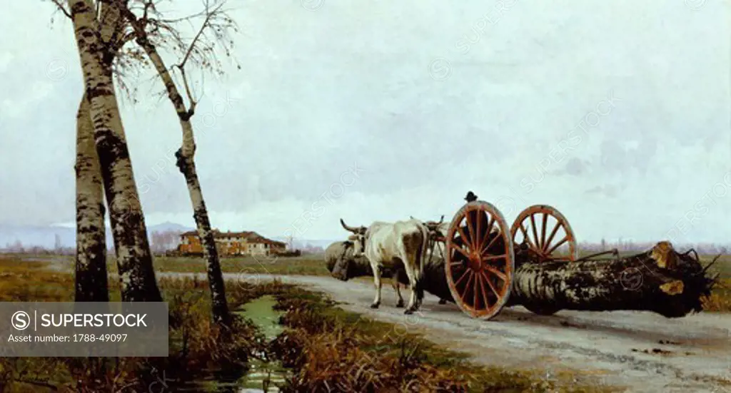 Transporting the trunk, 1895-1900, by Giorgio Lucchesi (1855-1941), oil on canvas, 50x80 cm.