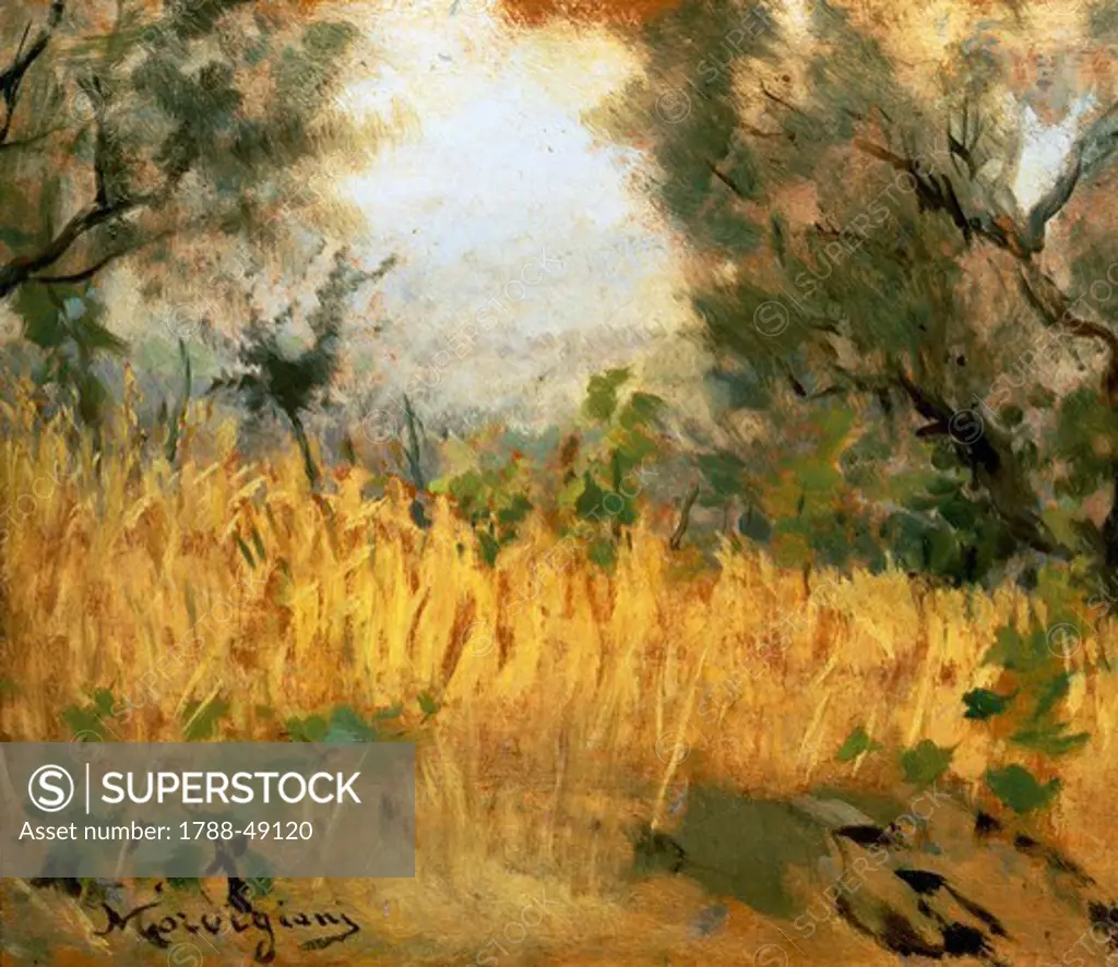 Ripe wheat, ca 1890, by Michele Gordigiani (1835-1909), oil on panel, 27x31 cm.