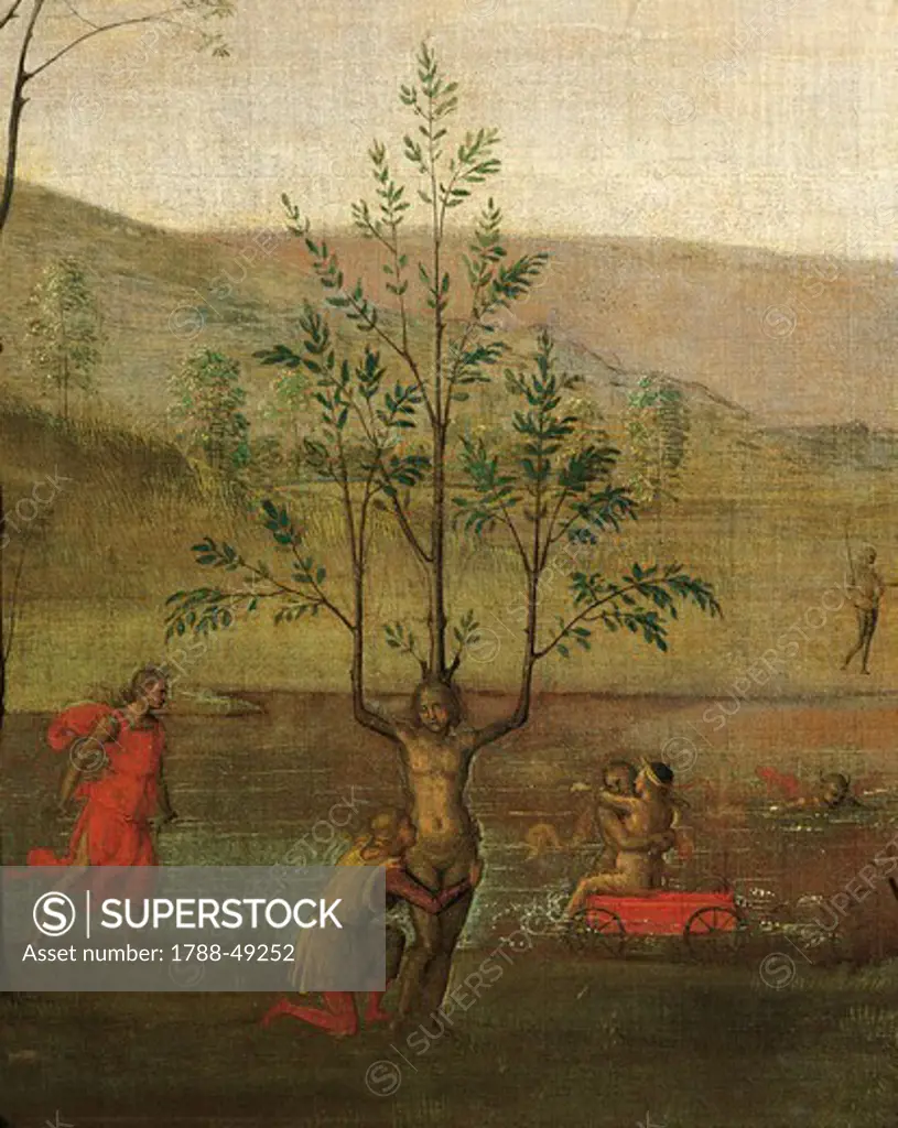 The tree-woman, detail of the Struggle between Love and Chastity, 1503-1505, by Pietro Perugino (ca 1450-1523), tempera on canvas, 160x191 cm.