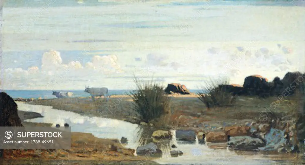 Lido with cattle grazing, by Giuseppe Abbati (1836-1868), oil on panel, 27x48.7 cm.