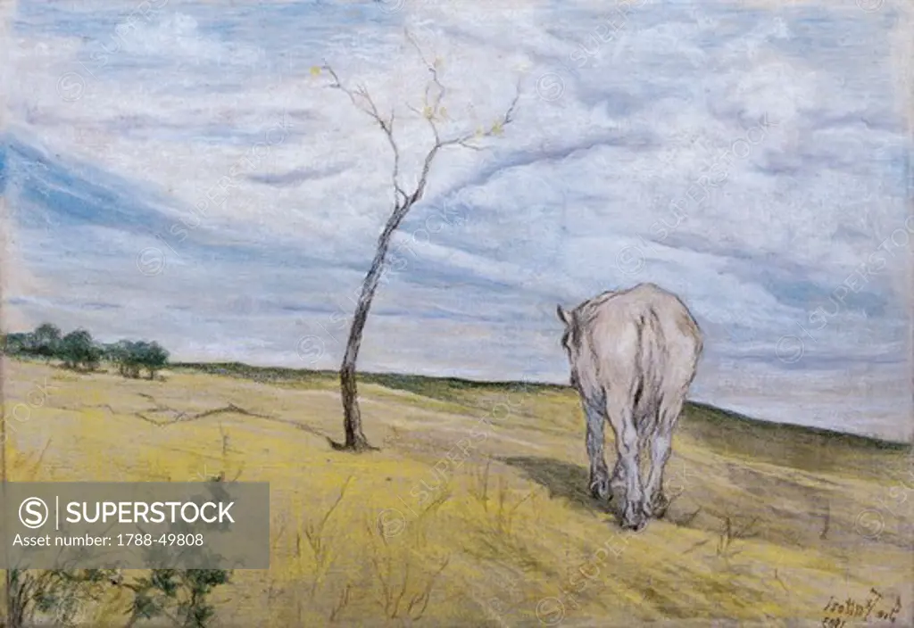 White Horse, by Giovanni Fattori (1825-1908).