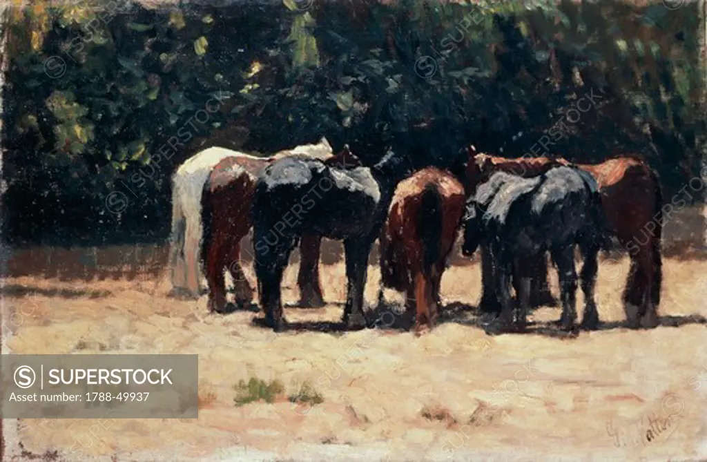Horses in the sun, ca 1880, by Giovanni Fattori (1825-1908), oil on panel, 32.5x49.5 cm.