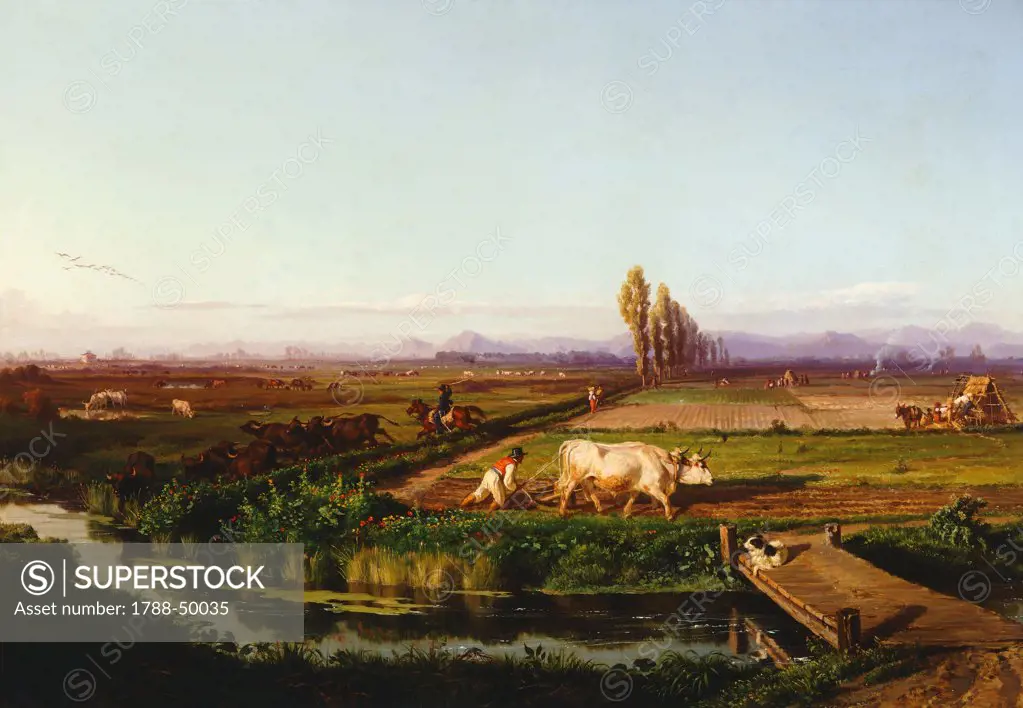 Carditello Estate, by Filippo Palizzi (1818-1899), oil on canvas, 68x98 cm.