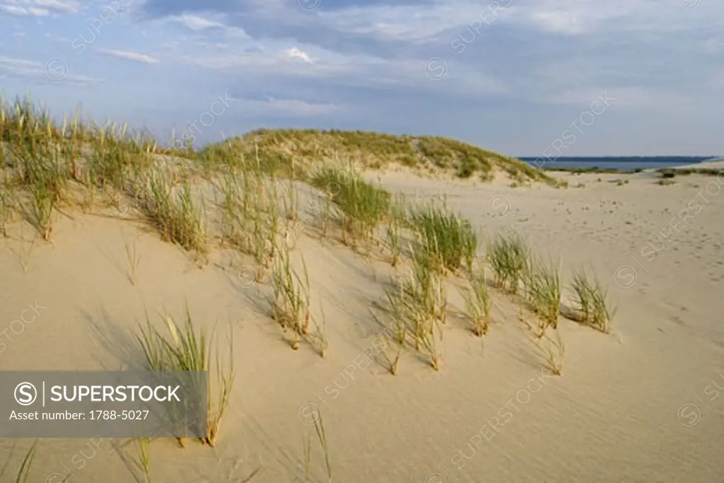 Lithuania, Klaipeda County, Curonian Spit, beach