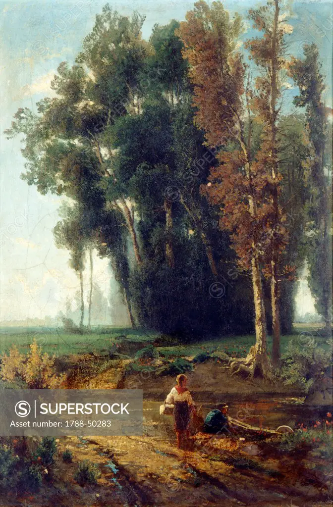 Woods with water and scrubs, by Giovanni Corvini (1820-1894), oil on canvas, 65x44 cm.