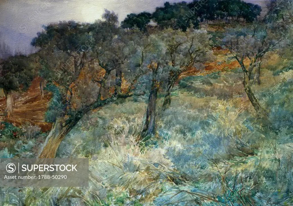 The olive grove, by Augusto Corelli (1853-1910).