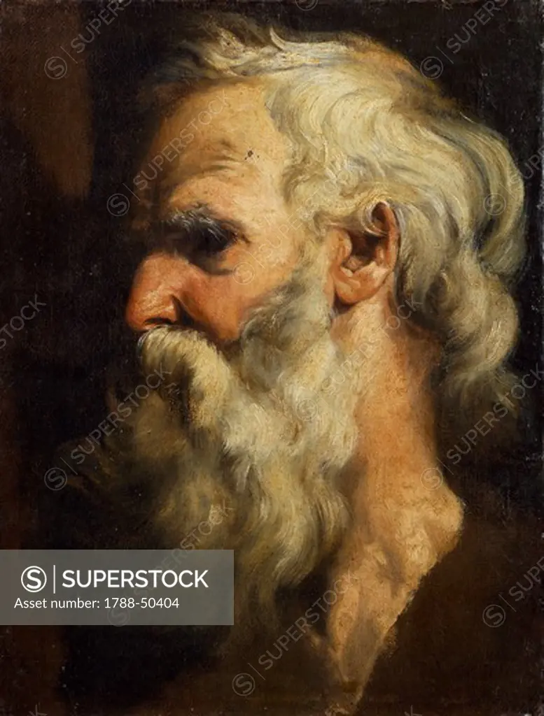Head of an old man, by Giovanni Battista Monti (1797-1823), oil on canvas, 47x35 cm.