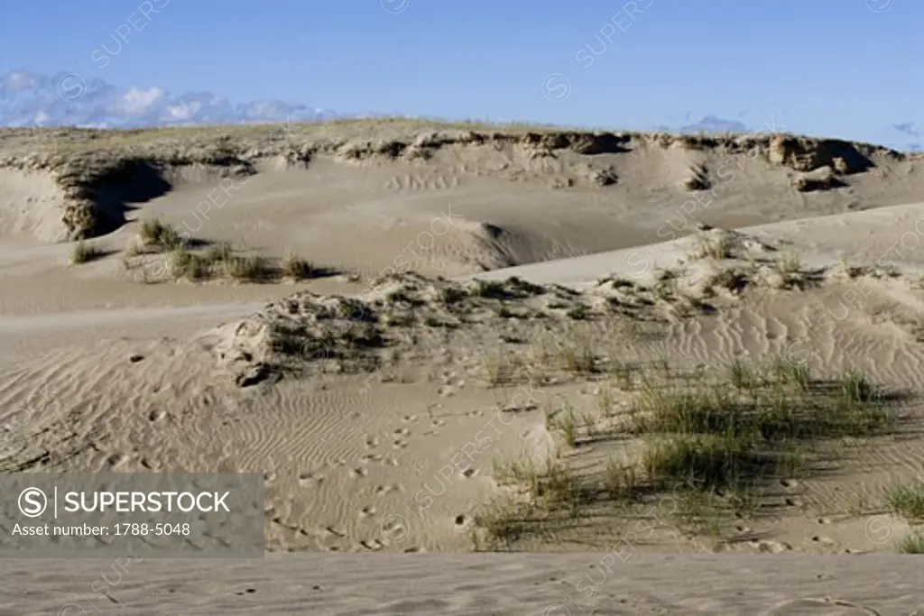 Lithuania, Klaipeda County, Curonian Spit, Vecekrugas, Grey dune