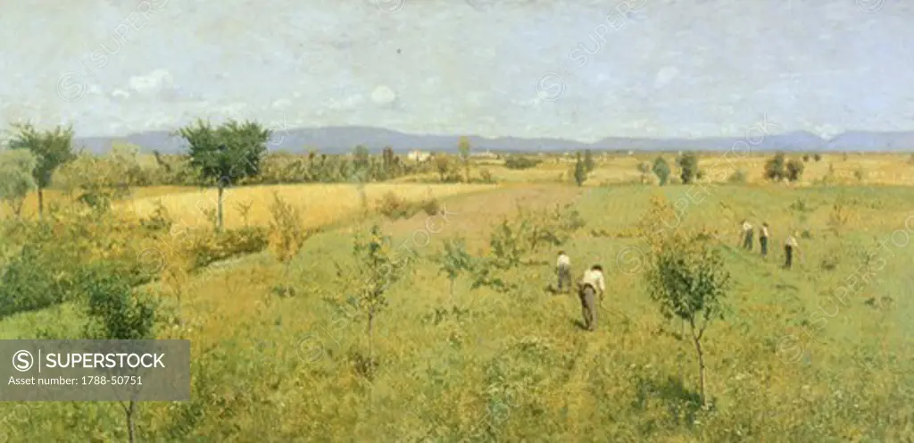 Golden harvest, 1883, by Guglierimo Ciardi (1842-1917).