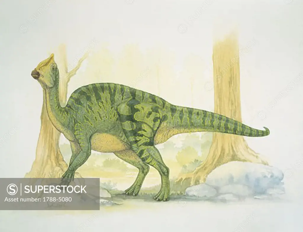 Side profile of a dinosaur
