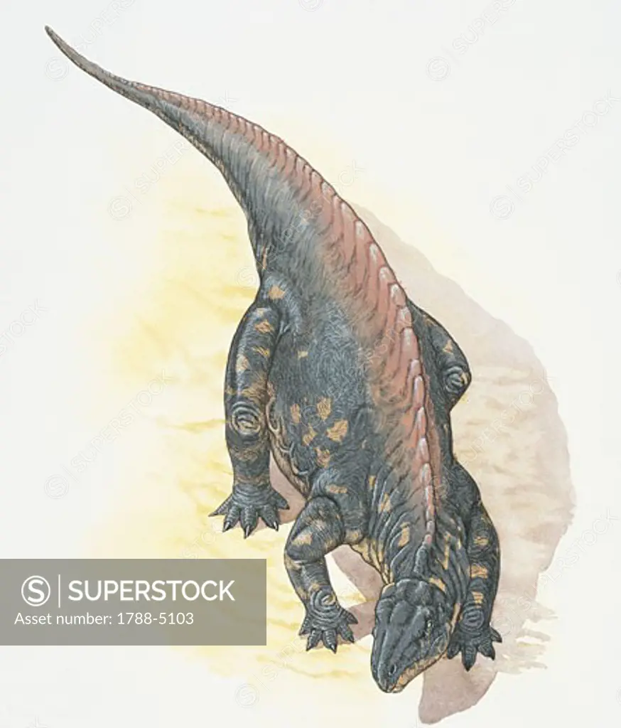 Illustration of Lotosaurus, elevated view