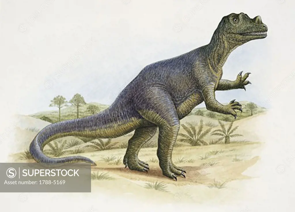 Side profile of ceratosaurus dinosaur
