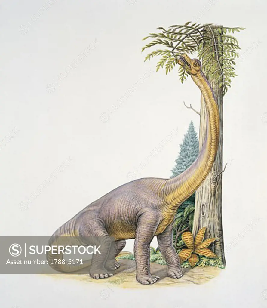Side profile of bothriospondylus dinosaur eating leaves