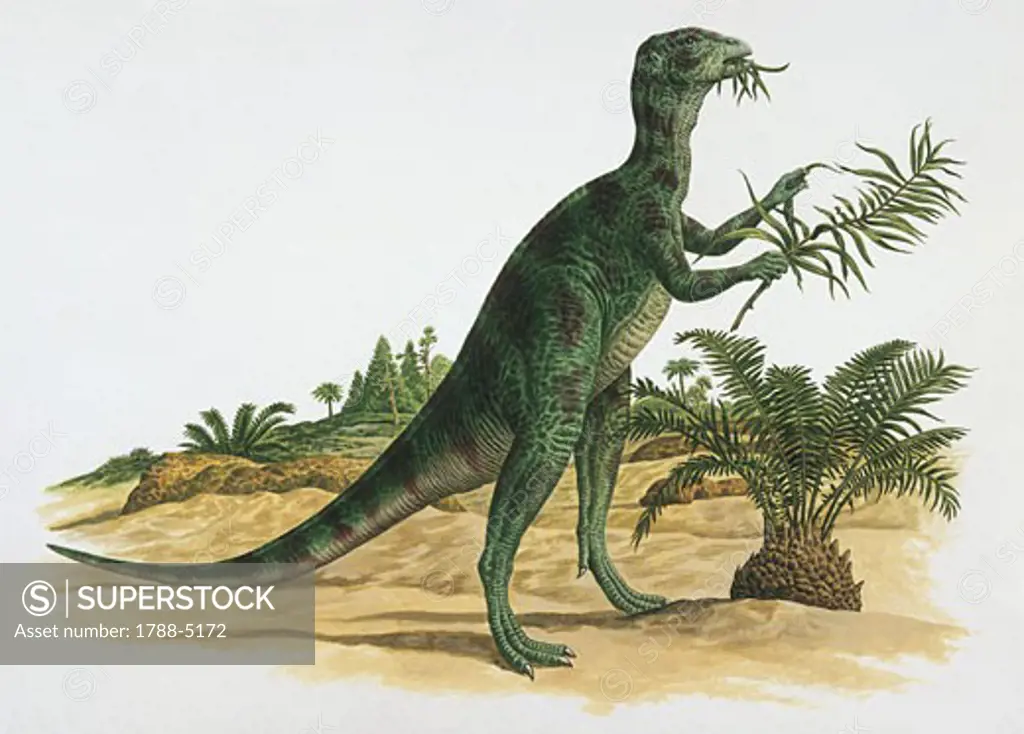 Side profile of an othnielia dinosaur eating leaves
