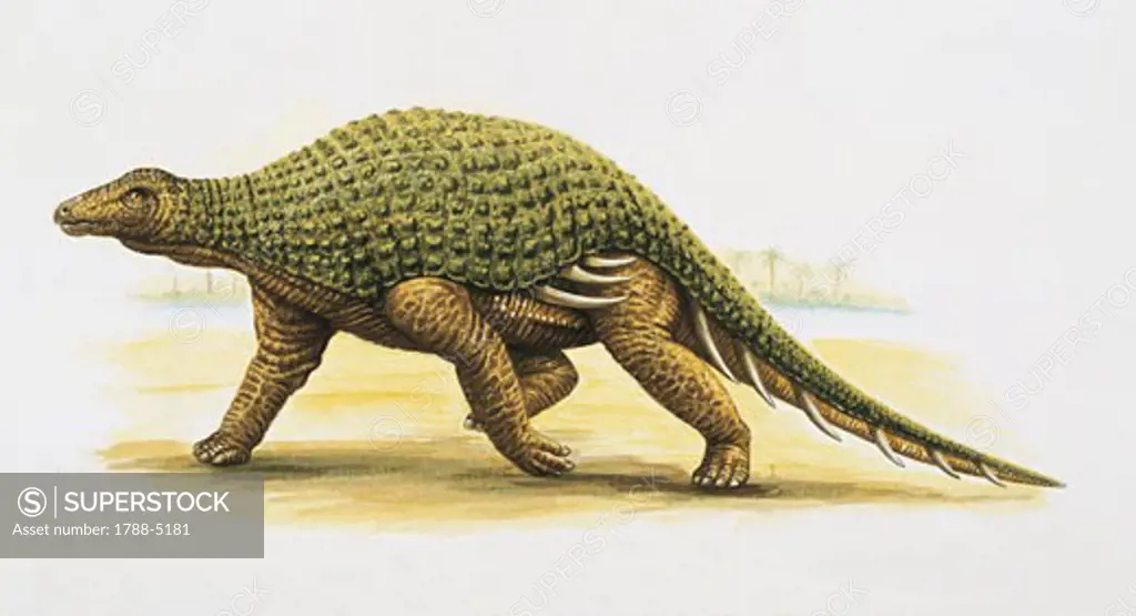 Side profile of a silvisaurus dinosaur