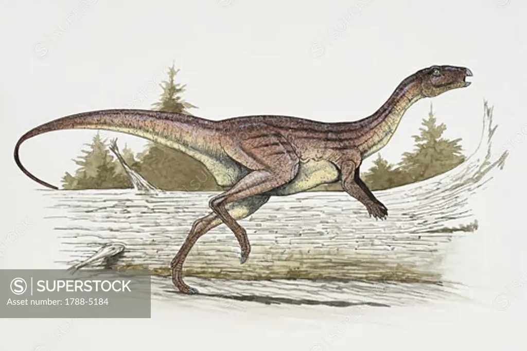 Side profile of a dinosaur running