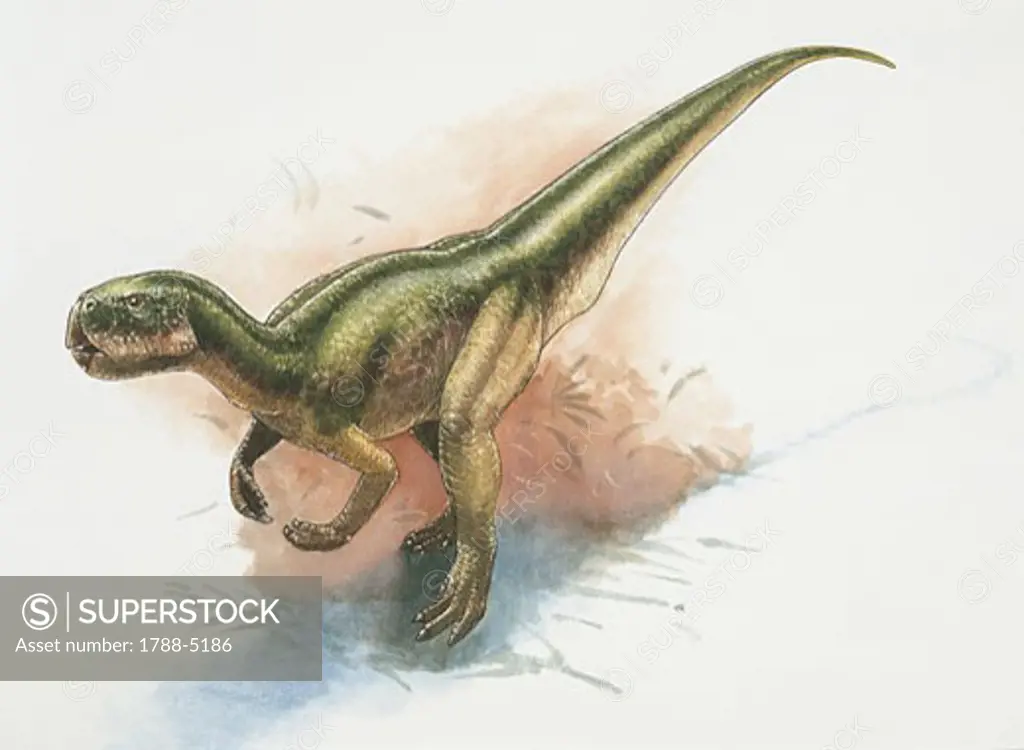Side profile of a Stenopelix dinosaur