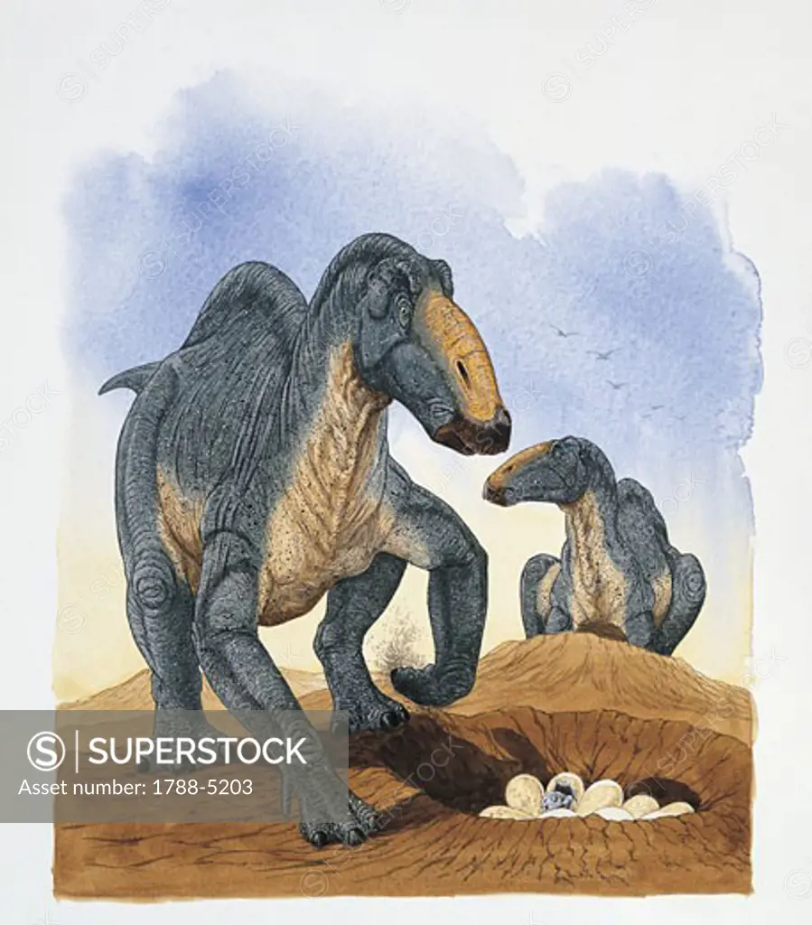 Two dinosaur on a landscape