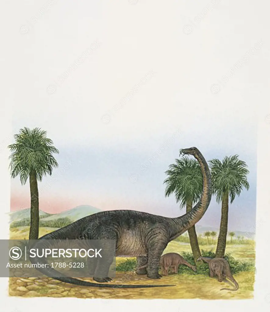 Quaesitosaurus dinosaur family in the forest