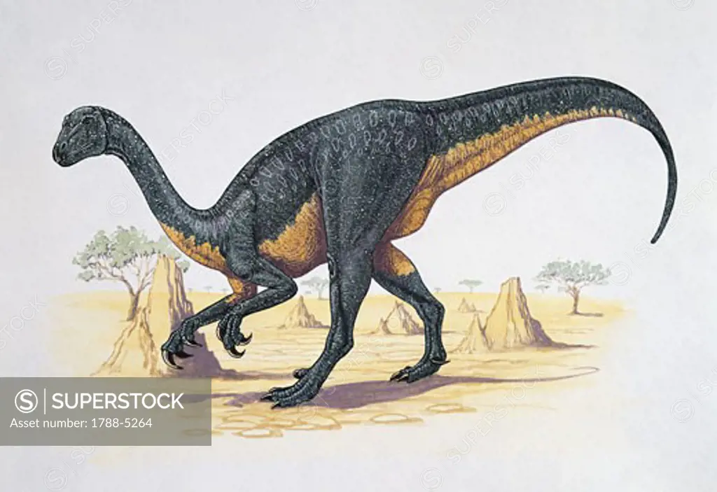 Side profile of a therizinosaurus dinosaur walking on a landscape (Therizinosaurus cheloniformis)