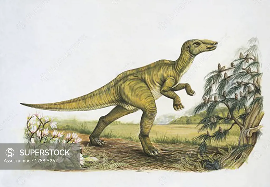 Side profile of a secernosaurus dinosaur (Secernosaurus koerneri)