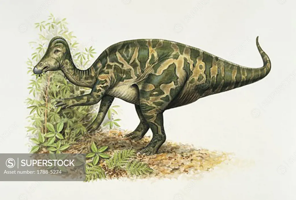 Dinosaur eating a leaf