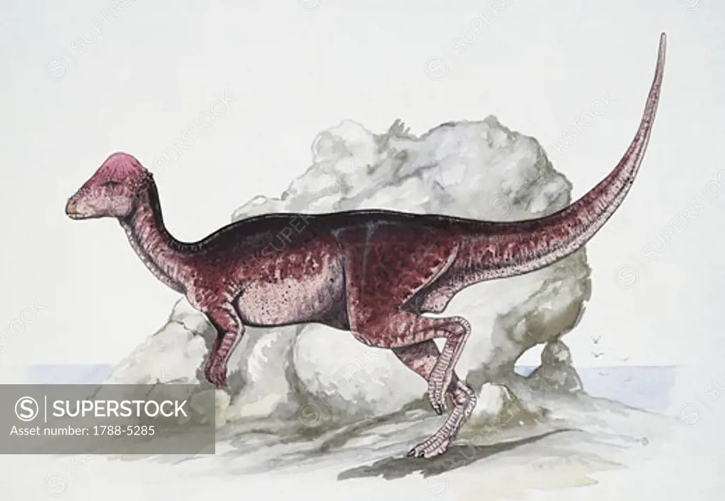Side profile of dinosaur running