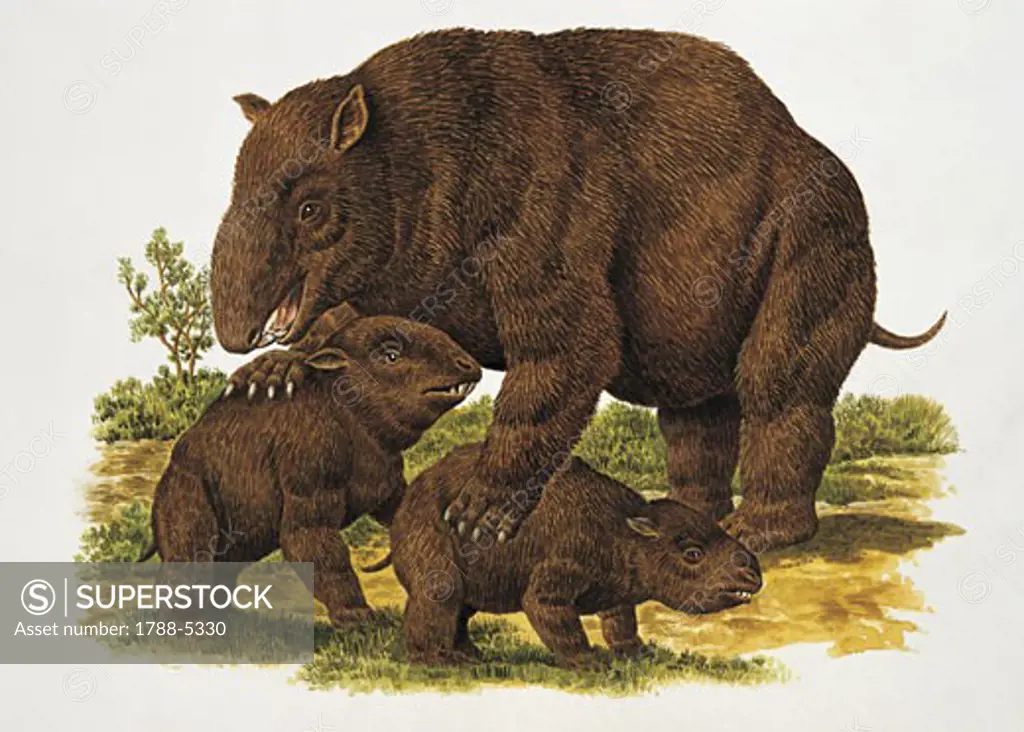 Close-up of a diprotodon with its young