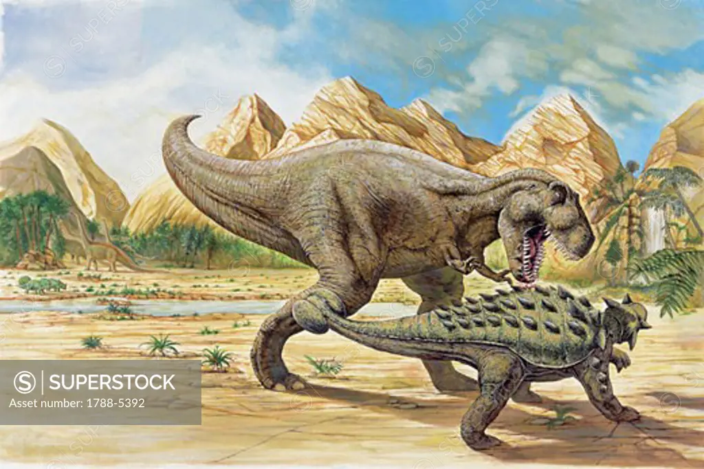 Tyrannosaurus rex and euoplocephalus dinosaurs walking on a landscape