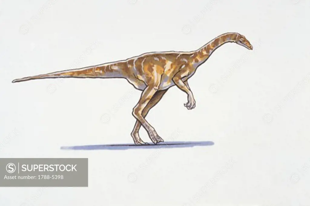 Illustration of Deinocheirus