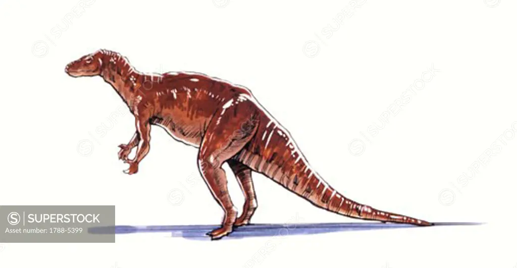 Illustration of Camptosaurus
