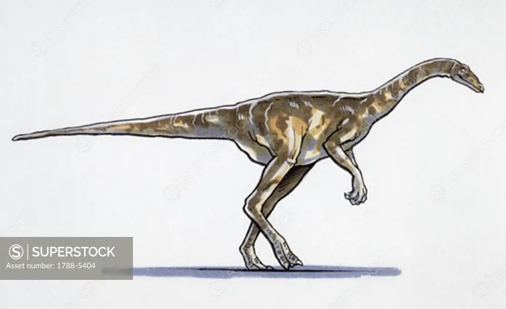 Illustration of Daspletosaurus