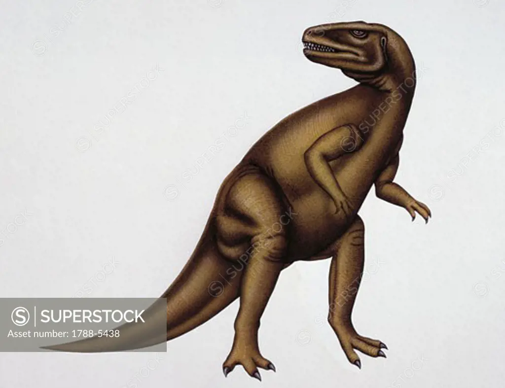 Illustration of Megalosaurus