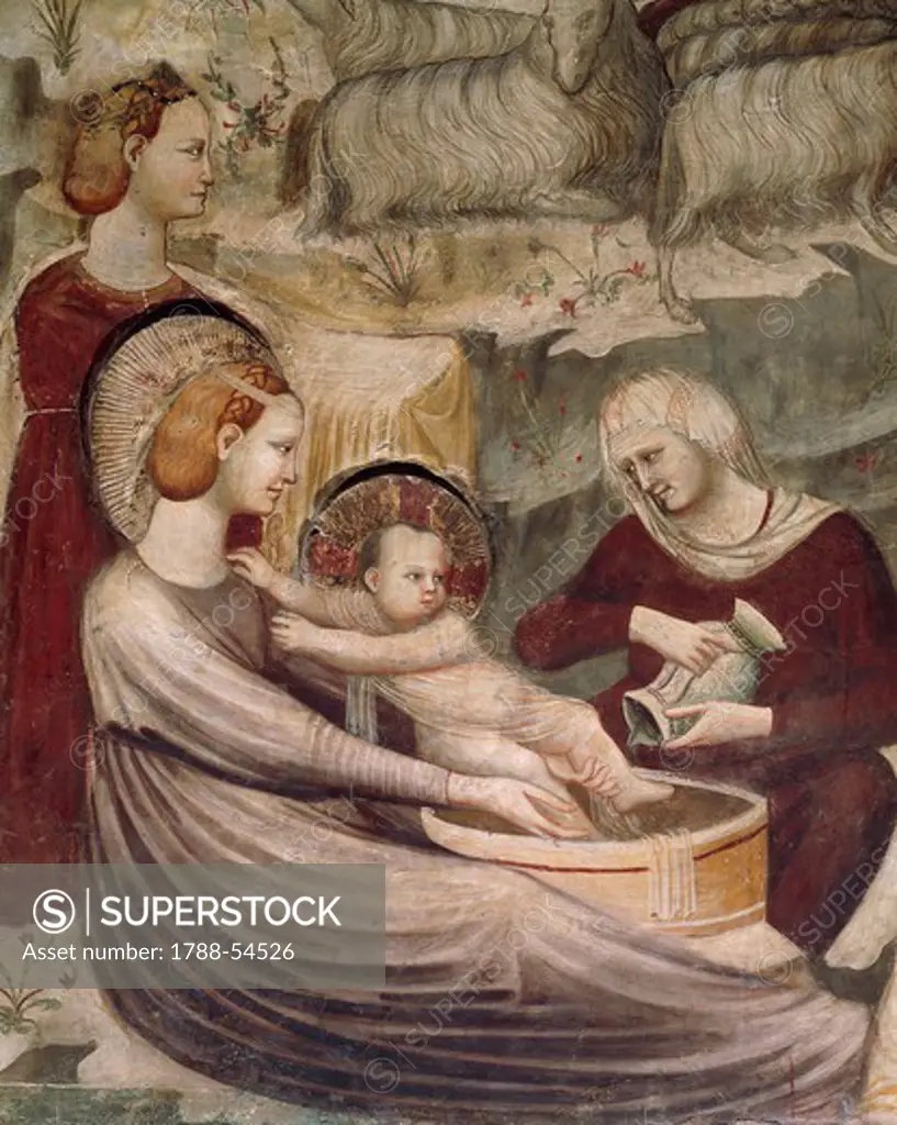 Washing of Baby Jesus, scene from the Life of Christ, 1320-1325, by an unknown artist, fresco, Chapel of St Nicholas, Basilica of Saint Nicolas of Tolentino, Tolentino . Italy, 14th century.