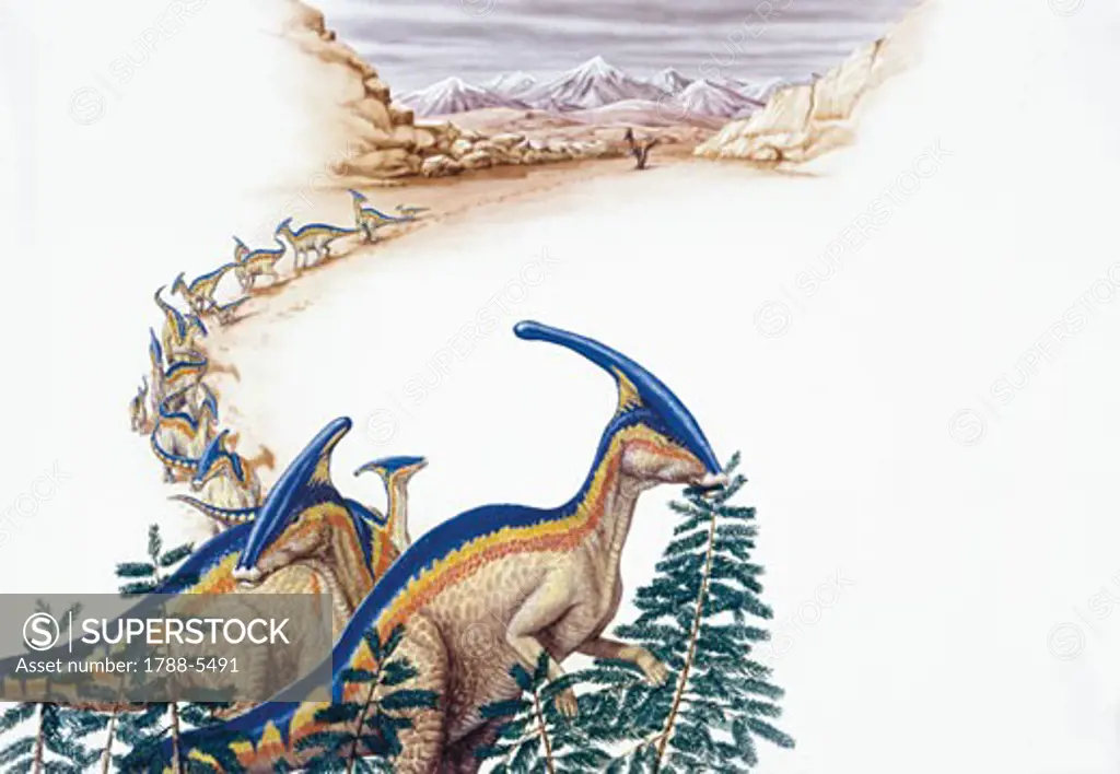 Illustration of herd of Paracyclotosauruses 