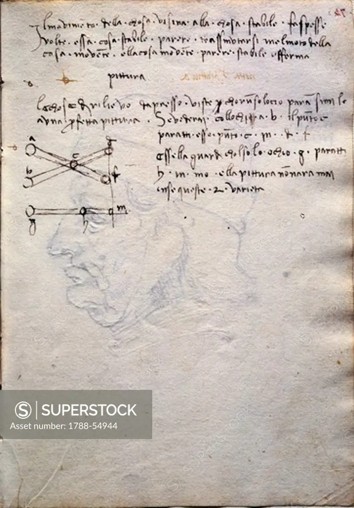 Extract from the book of paintings, from The Codex Trivulzianus, 1478-1490, by Leonardo da Vinci (1452-1519), folio 38 verso, page 74.