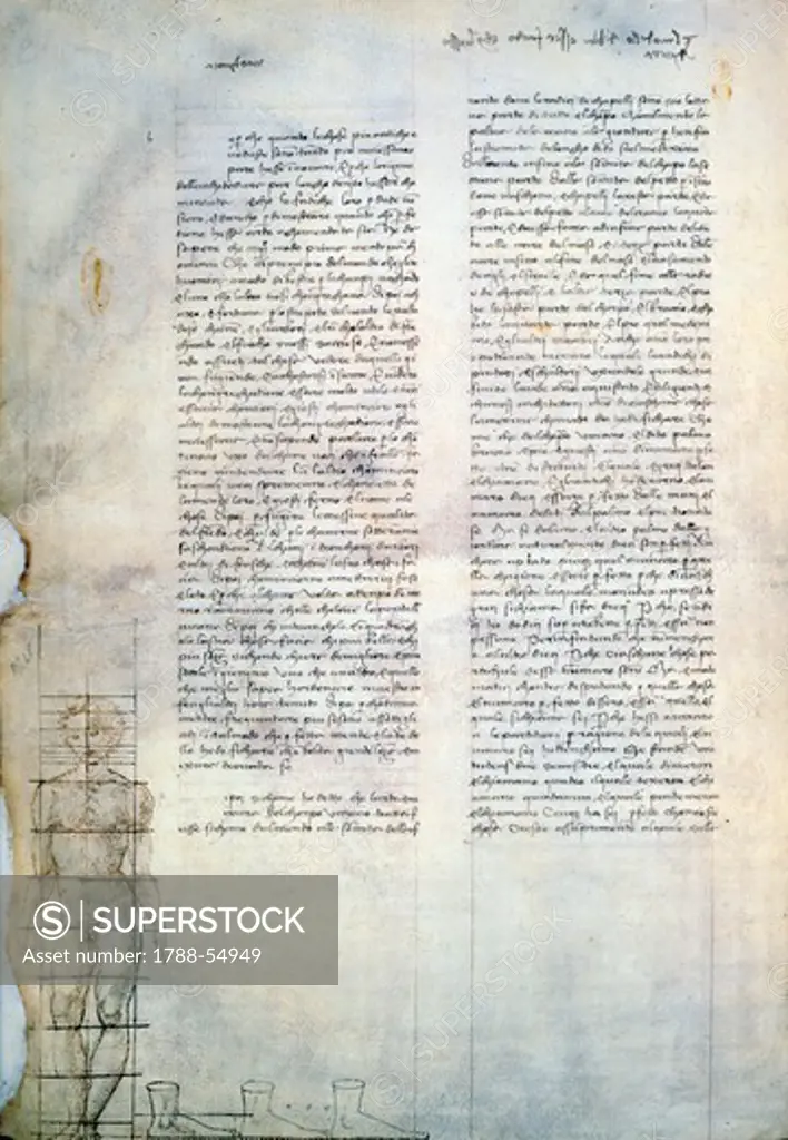 Studies of anatomy, and the male figure standing, from Codex Ashburnham 361, by Leonardo da Vinci (1452-1519), folio 15 verso.