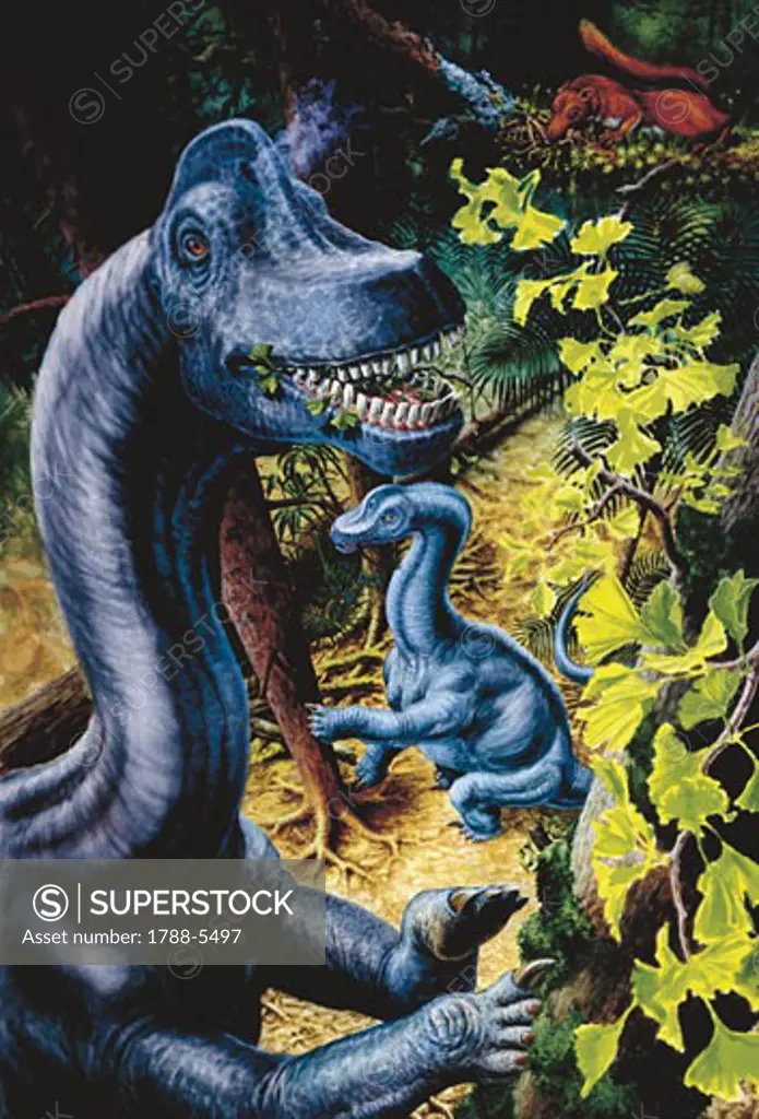 Illustration of Brachiosaurus eating leaves of tree branch