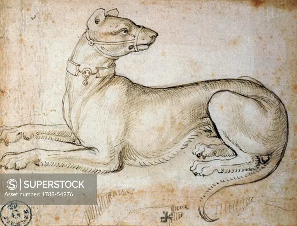 Study of an imaginary animal, by Leonardo da Vinci (1452-1519), drawing 753 Orn.