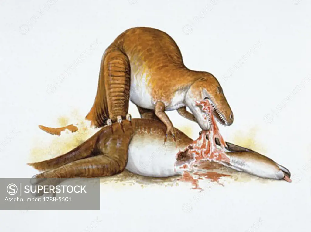 Illustration of Albertosaurus devouring Parasaurolophus
